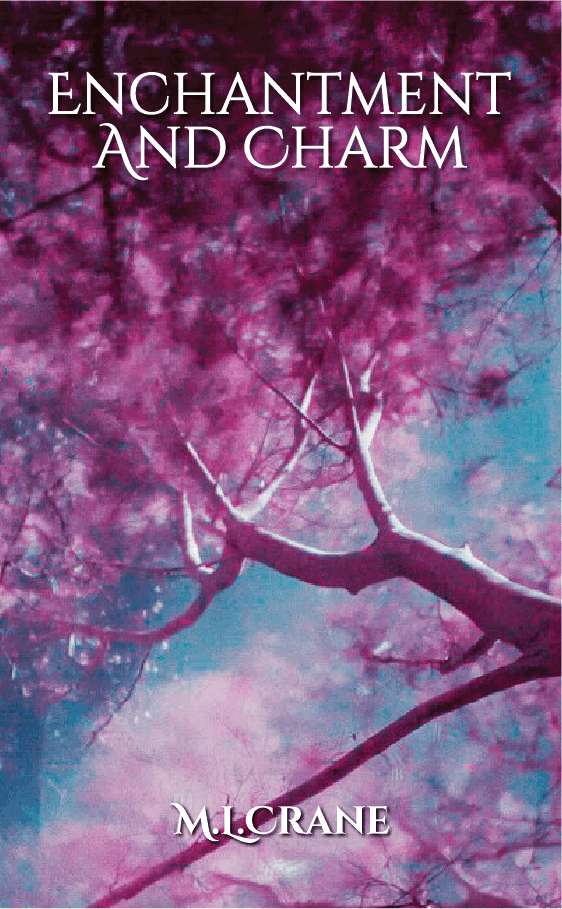 Published book cover 11