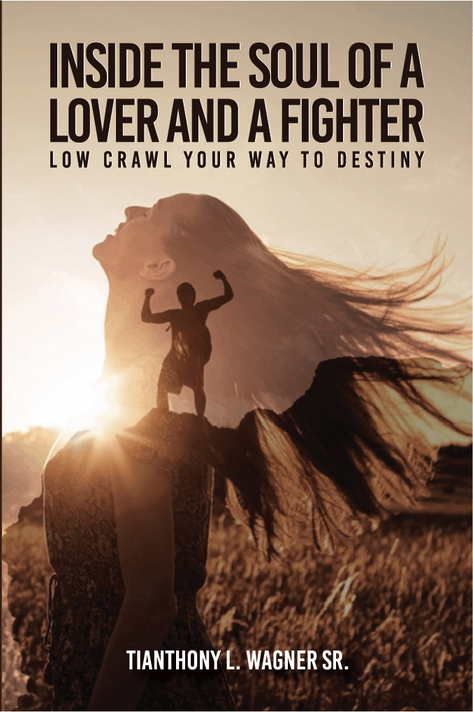 Published book cover 13
